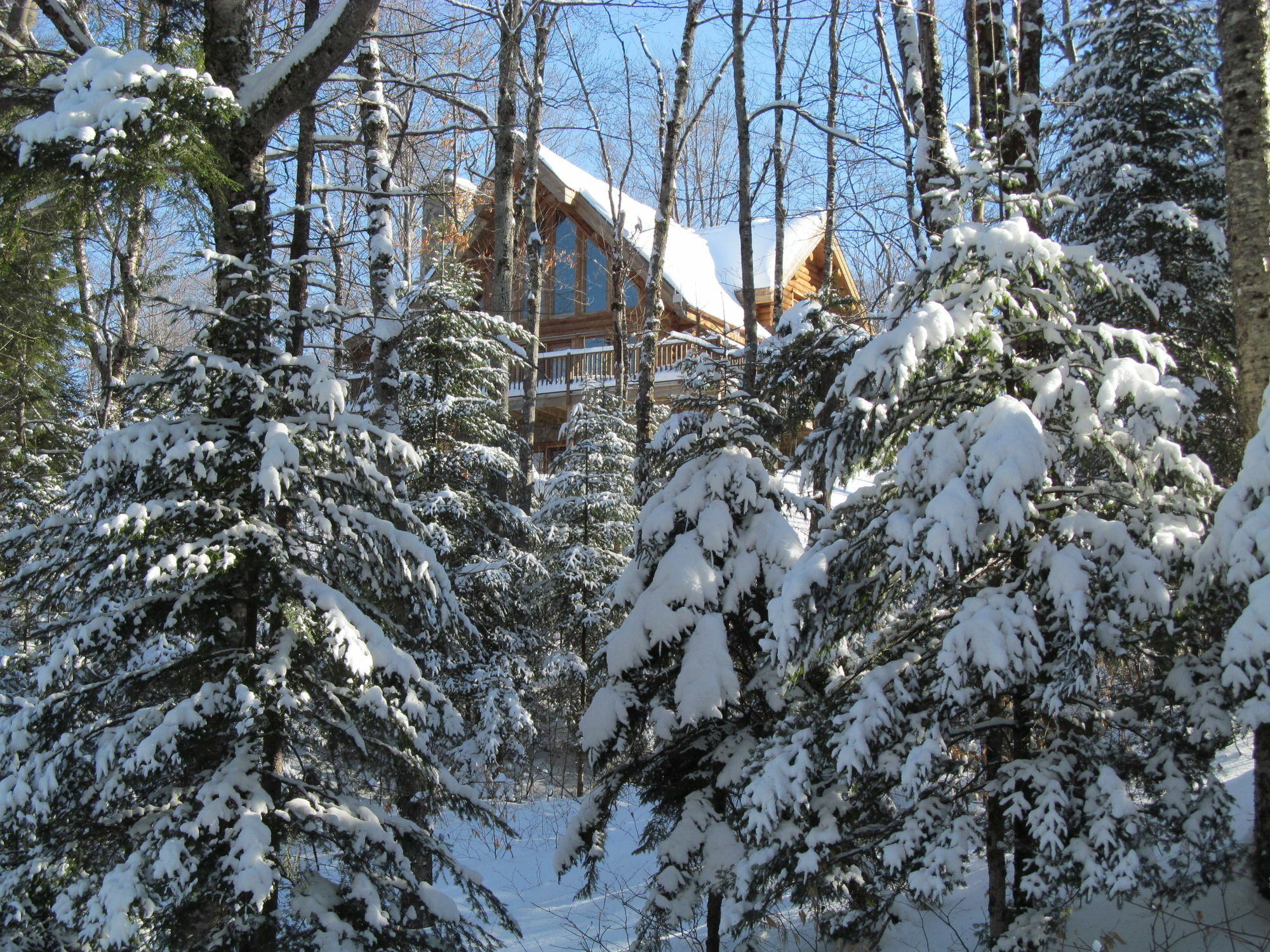 Blueberry Lake Resort Labelle Экстерьер фото